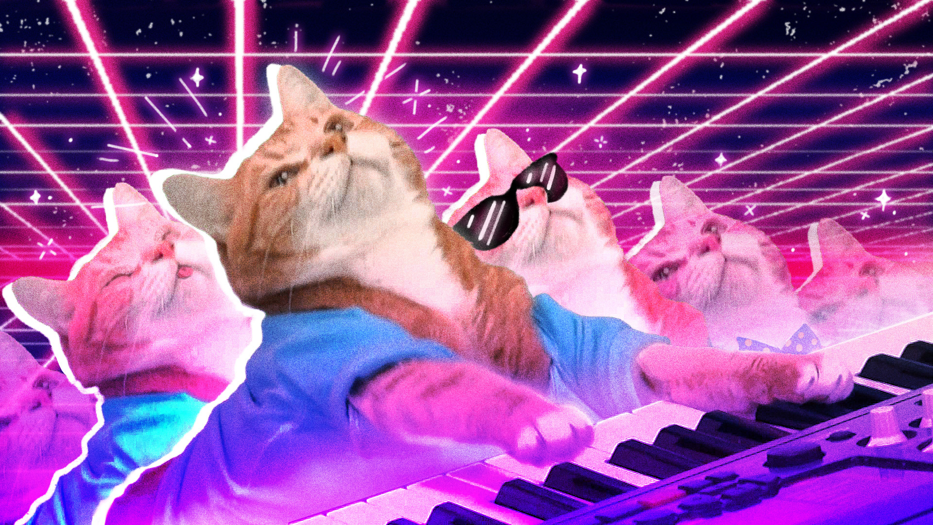 More-than-human Musicking im Internet: Multispecies Music Memes auf TikTok